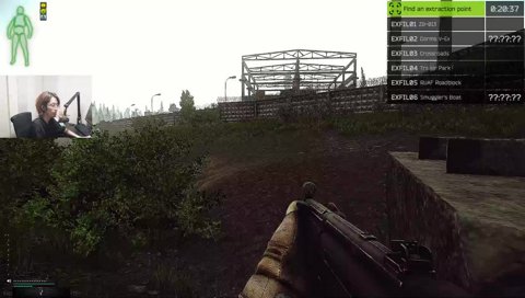 宙に浮いてる柴犬