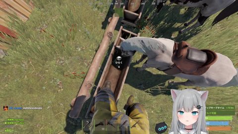 びっくりなちょ