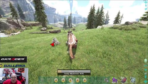 ラプトルチャレンジ・・・