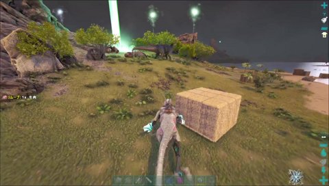 無言で殺されるイブラヒム