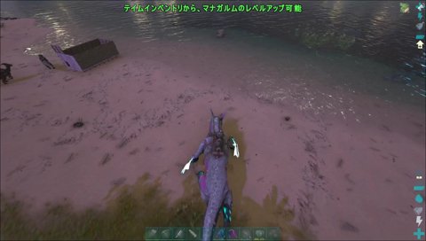 イブラヒムさんソロですか？