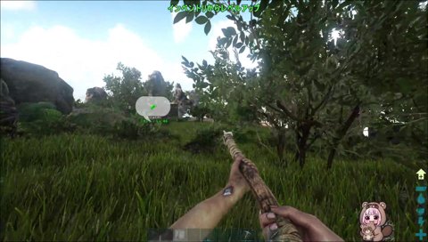 関さんに破壊されるあかりん