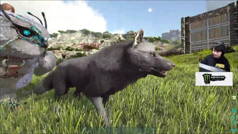 本田翼にシバかれるk4sen