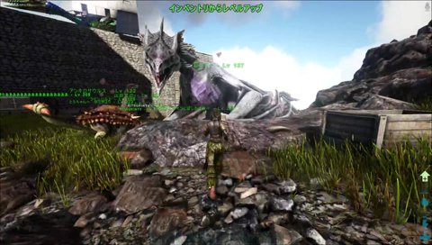 みっちーについて