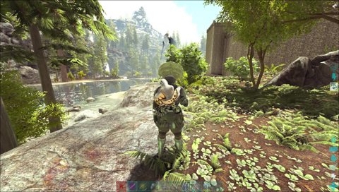 らいさま大興奮