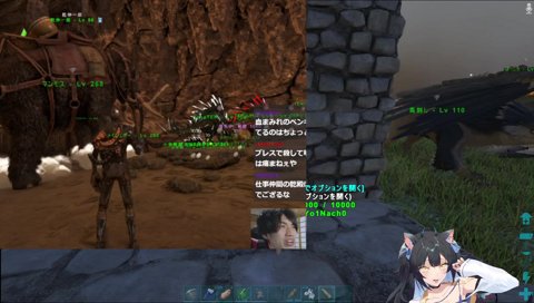 ペンギンで泣いてるたぬきを見るよいち