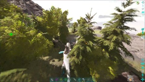 くーちゃんとの邂逅