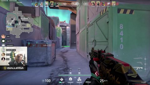 ペパニキのスプレーにキチゲ解放