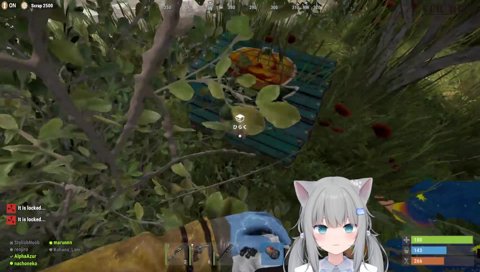 遂になちょ宝箱見つける