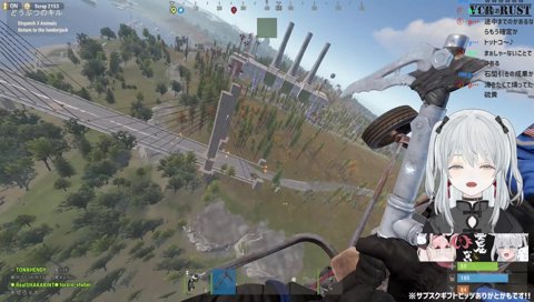 ハム太郎じゃないのだ！