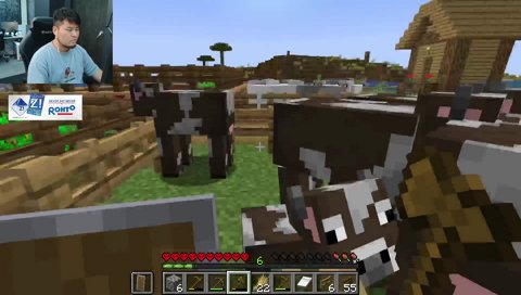 牛を守り抜いたマザー