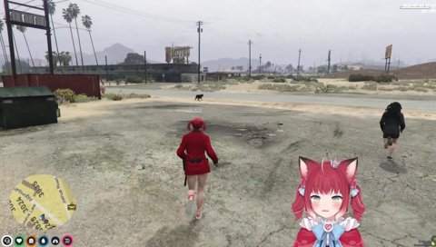 なずぴ、犬をいじめる