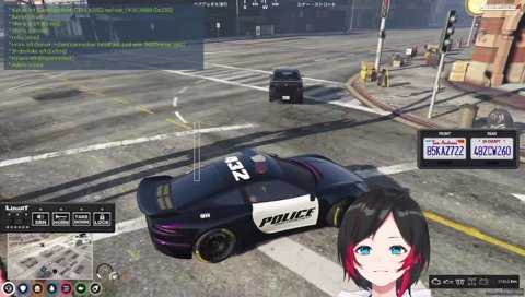 カニピンクのささてぃっくプロファイル