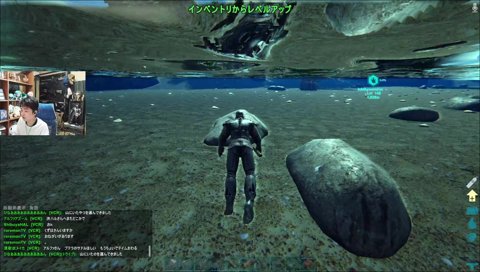 リアルでピラニアに襲われるよしなま