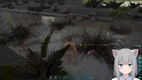 捕獲されるなちょ