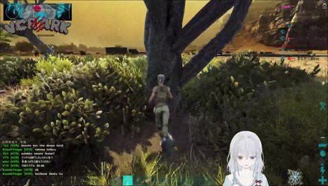 ARKで格ゲーをするハイタニ