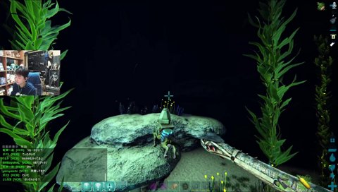 海のボスαイカ現る