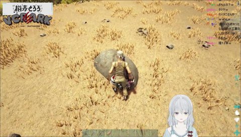 亀とファイトするハイタニさん