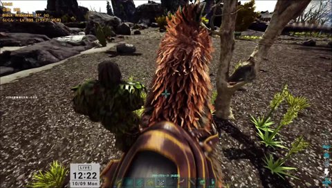 ガチでいかれた釈迦キック