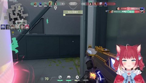 壁を凝視するかるび選手