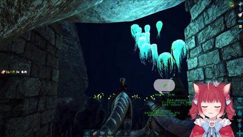 かるび、クラゲにやられる