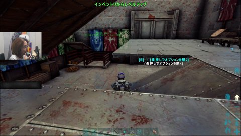 アルス「石ないよぅ…釈迦さん寝てくれ…」