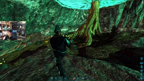 勝手に落ちて死にました