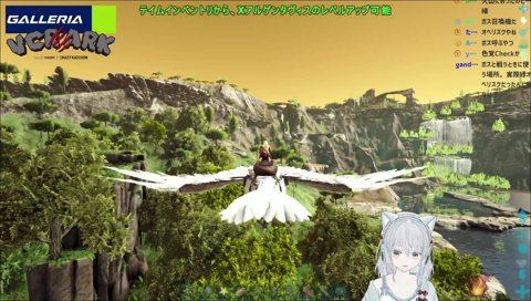 突然のクラッシュに舌打ちも出る猫麦