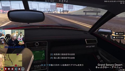 肺は万全VCR GTA #4 自滅の神