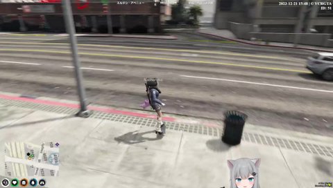 人間と遊んでみたかった怪物猫