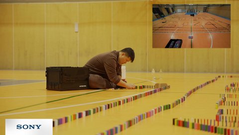 打ち上げられたセイウチ