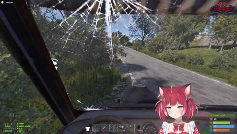 とうとうやってしまったかるび