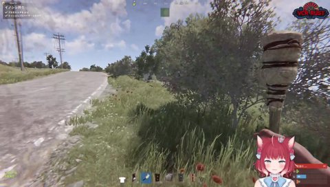 けんきの馬を奪って死ぬかるび