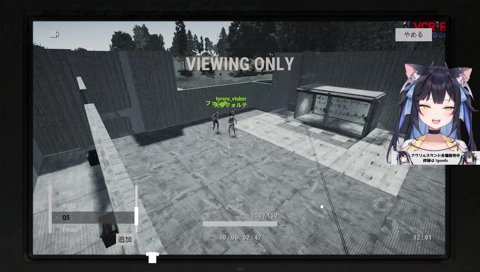 猟奇的な犯行映像