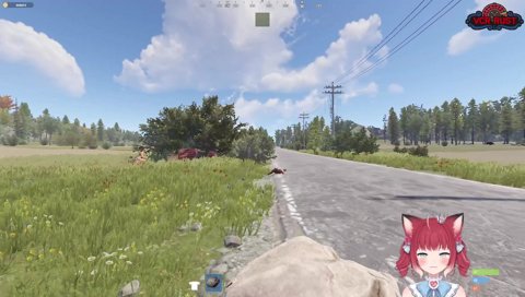 土井サプライズかるび鶏になる