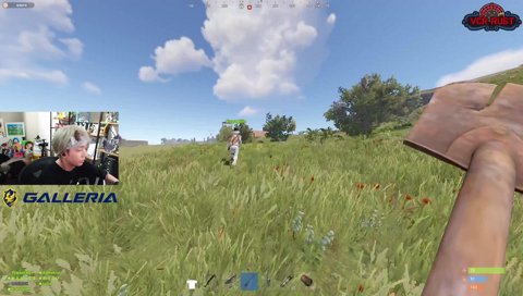 なるせは今日は居ないんか