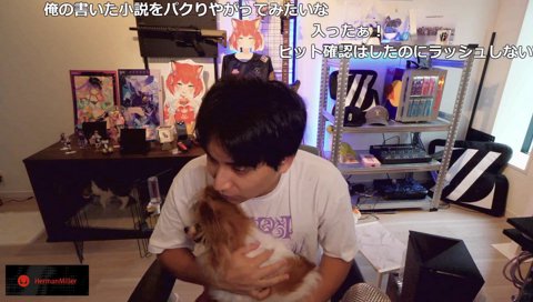 VCRリークと犯行予告