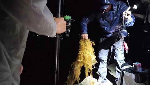 ウツボマスター釈迦