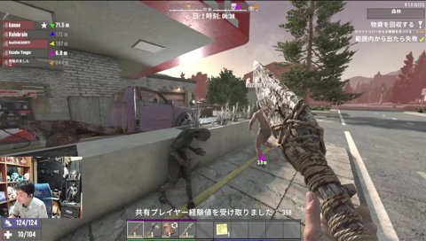 仲良しのササ葛