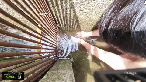 もっこりパンツ漁法