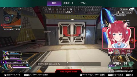 かるびの失言に爆笑する猫太つな