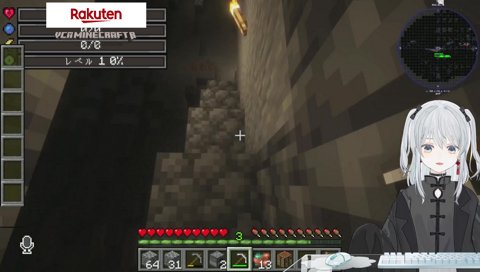 盗賊に襲われるとろちゃん