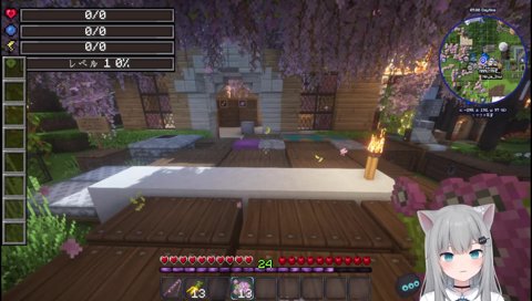 きなこさんに聞かれたナチョ