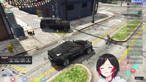 りりむ姫の運転技術