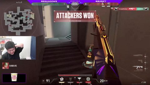 豚影直々の調査