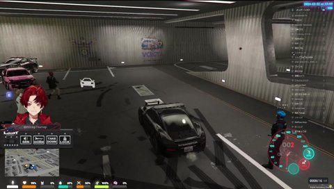 腫れ者になったツルギ