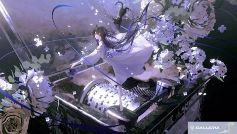 ファン太 : よいちゃん福袋をひとつください