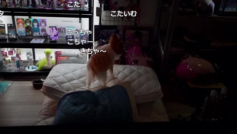 けんき枕ふみふみこた