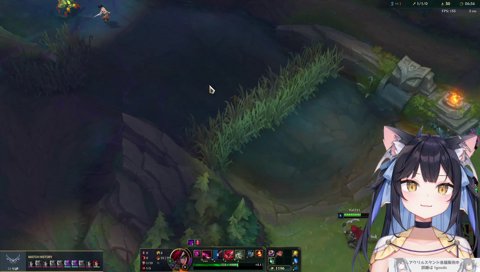 はじめてのカタリナ