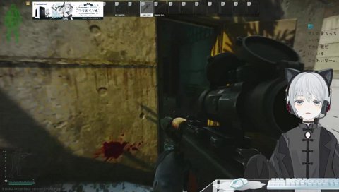 スナイプし返す猫麦